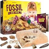 Dan&Darci Real Fossil Dig Kit for Kids - Science Kits for Boys & Girls Age 8-12 - Birthday Gift Ideas for 8, 9, 10, 11, 12 Year Old Boy or Girl - Fossils Digging STEM Toys for Ages 8-13