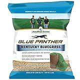 Jonathan Green (11970) Blue Panther Kentucky Bluegrass Grass Seed - Cool Season Lawn Seed (3 lb)