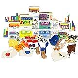 Stages Learning Materials Language Builder Picture Noun Flash Cards Photo Vocabulary Autism Learning Products, ABA Therapy 10 Boxes, 1413 Cards, Blocks, 88 Realistic 3D Items