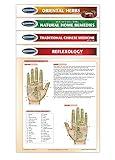 Permacharts Alternative Medicine Charts and Guides - 4 Chart Bundle - Holistic Health Quick Reference Guide