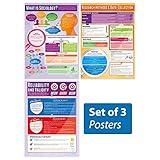 Introduction to Sociology Classroom Posters - Set of 3 - EXTRA LARGE 33” x 23.5” - Laminated - Sociology Middle & High School Class Decoration - Wall Charts by Daydream Education.