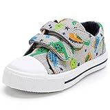 K KomForme Toddler Boys & Girls Shoes Kids Canvas Sneakers with Cartoon Dual Hook and Loops, Size 8 Toddler, Dinosaur
