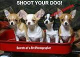 Shoot Your Dog with a Digital Camera Secrets of a Pet Photographer