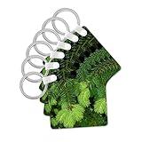 3dRose, New spring growth on an evergreen branch, Olympic NP, WA., set of 2 Key Chains