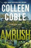 Ambush: A Small-Town Romantic Suspense (Sanctuary Book 1)