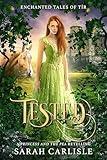 Tested: A Princess and the Pea Retelling (Enchanted Tales of Tír Book 1)