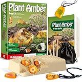 EDUMAN Amber Dig Kit - 6 Artificial Plant Resin Specimens, Biology Fossil Excavation Set with Natural Amber, STEM Inspired Educational Toy for Kids Ages 6-12, for Boys & Girls