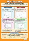 The Gas Laws | Science Posters | Laminated Gloss Paper measuring 33” x 23.5” | STEM Charts for the Classroom | Education Charts by Daydream Education
