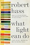 What Light Can Do: Essays on Art, Imagination, and the Natural World