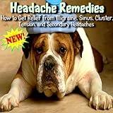 Natural Herbal Remedies You Can Use At Home For Reducing And Eliminating Headaches