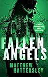 Fallen Angels: A white-hot page-turning assassination thriller (Acid Vanilla Series Book 9)