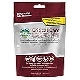 Oxbow Critical Care Carnivore, Made with Whole Egg & Dried Chicken, Assist Feeding Formula for Carnivores, Cat Supplements, Ferret Food Recovery, Small Animal Pet Products, Made in USA, 70 Gram Bag