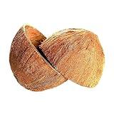 2pcs Coconut Shell Halves Eco-Friendly Ceylon 100% Natural Coconut Shell Halves Organic Coconut Shell Halves For Handcraft Handmade Coco Shell 2pcs HALVES