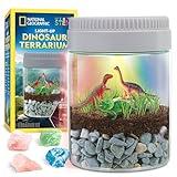 National Geographic Dinosaur Terrarium Kit for Kids – Multicolor Light-Up Terrarium, Build a Dino Habitat with Real Plants & More, Science Kit, Dinosaur Toys for Kids