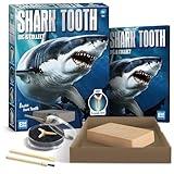 EGGBOX Shark Tooth Dig Kit Excavate 8 Shark Fossils Including Great White, Angel, Bullhead, Longnose, Sand Tiger Shark and so on. Great Science Gift for Marine Biology Enthusiasts of Any Age