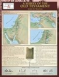 A Survey of the Old Testament Laminated Sheet (Zondervan Get an A! Study Guides)