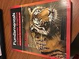 Fundamentals of Computer Graphics