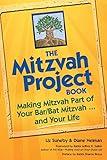 The Mitzvah Project Book: Making Mitzvah Part of Your Bar/Bat Mitzvah ... and Your Life