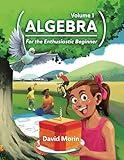Algebra: For the Enthusiastic Beginner, Volume 1
