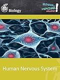 Human Nervous System - School Movie on Biology