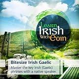 Learn Irish With Eoin