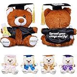 Personalized Graduation Bear 2025, Custom Gifts for College, University, High School, Grads, Graduation Keepsake, Kindergarten Preschool, Stuffed Animal，Plush Bear