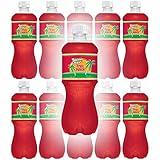 Tahitian Treat, Fruit Punch Soda, 20 Fl Oz Bottle (Pack of 12, Total of 240 Fl Oz)