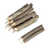 BSIRI Professional Coloring Pencils Assorted-Stick Twig Outdoor Colored Wooden Pencil Tree for Child Camping Decorations Color Wood, Colored Pencils Wedding Decorations (3 Inch Long)