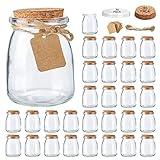Brajttt Mini Yogurt Jars 30 Pack, 7 oz Glass Favor Jars with Cork Lids, Pudding Containers with Lids, Mason Jar Wedding Favors Honey Pot with Label Tags and String