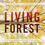 The Living Forest: A Visual Journey Into the Heart of the Woods