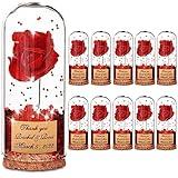 CATABUBU Rose Dome Wedding Party Decoration Supplies, 11 pcs Wedding Party Beauty Beast Party Guests Souvenir Gifts, Glass Dome Gorgeous Party Gift for Wedding Shower Bride Shower Engagement-159