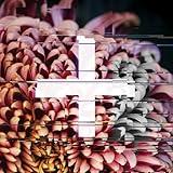 +Fe Music: The Reworks