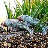 VKEVOC Koi Fish Decor - Set of 2 Antique Koi Fish Garden Statue for Outdoors, Patio and Backyard Decoration