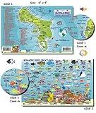 Franko Laminated Maps - Fish ID and Maps - Bonaire Scuba Dive Diving Diver Snorkel Snorkeling Map Guide Traveling Travel