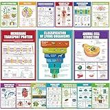 EggSun 16 Pcs Biology Science Posters for High School Classroom Decorations, 11 x 16in Life Science Poster Charts for Teachers Middle School Supplies Education Classroom Bulletin Board Wall Decor