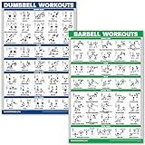 QUICKFIT Dumbbell Workouts and Barbell Exercise Poster Set - Laminated 2 Chart Set - Dumbbell Exercise Routine & Barbell Workouts (18" x 24")