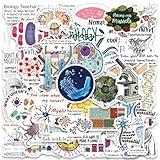 Biology Stickers |50Pcs Biological Sciences Waterproof Vinyl Decals for Water Bottles Bicycle Laptop Refrigerator Luggage Computer Mobile Phone Skateboard Bike Decor