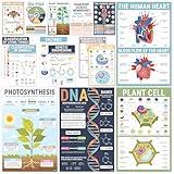 BrightenKidz 15 Pcs Biology Posters – 11x17 Inch Biology Classroom Decor, Life Science Posters for Middle & High School, Science Classroom Decor Must Haves