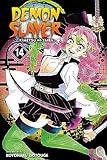 Demon Slayer: Kimetsu no Yaiba, Vol. 14: The Mu Of Muichiro