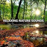 Pictorial Garden Nature Sounds
