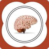 The Brain - Enhance Cognitive Functions and Consciousness With Stimulation of Thought for The Intelligent Mind