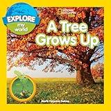 Explore My World: A Tree Grows Up