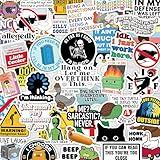 200 Pcs Funny Stickers for Adults (Dirty) Meme Water Bottles Sticker Pack Waterproof Cool Accesory for Laptop, Hard Hats, Sarcastic, Scrapbooking Decals