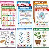 ZOIIWA 16pc Science Posters - Biology & Life Science Charts for Classroom & High School Education