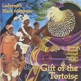 Gift Of The Tortoise: A Musical Journey Through Southern Africa