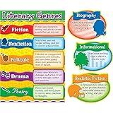 Carson Dellosa 14-Piece Literary Genres Bulletin Board Decorations Set, Literature Poster and Vignettes Covering Poetry, Fiction, Nonfiction, Biographies, and More, Library and Classroom Decor