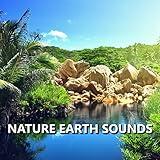 Pictorial Garden Nature Sounds
