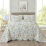 Travan 3-Piece Quilt Set Quilted Bedspread Lightweight Coverlet Set Garden Style Floral Printed Oversized Quilted Bedding Set with Shams for All Season, Exquisite, Queen Size