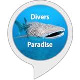 Scuba diving points guide