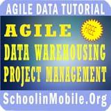 Agile Data WareHousing Project Management Free